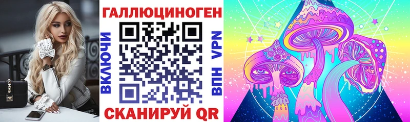 Псилоцибиновые грибы Psilocybine cubensis Барнаул